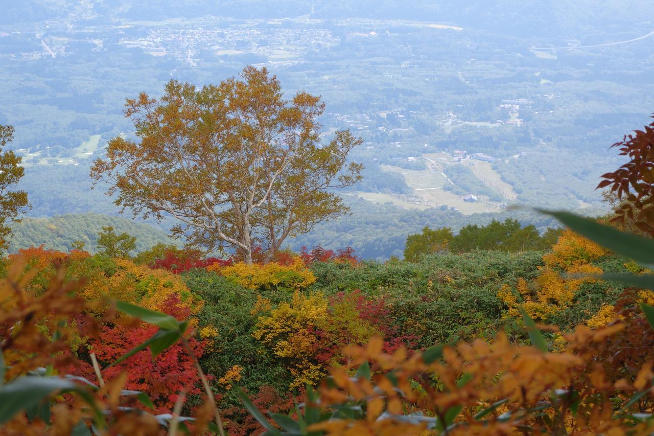 Schole Hakuba Otel Dış mekan fotoğraf